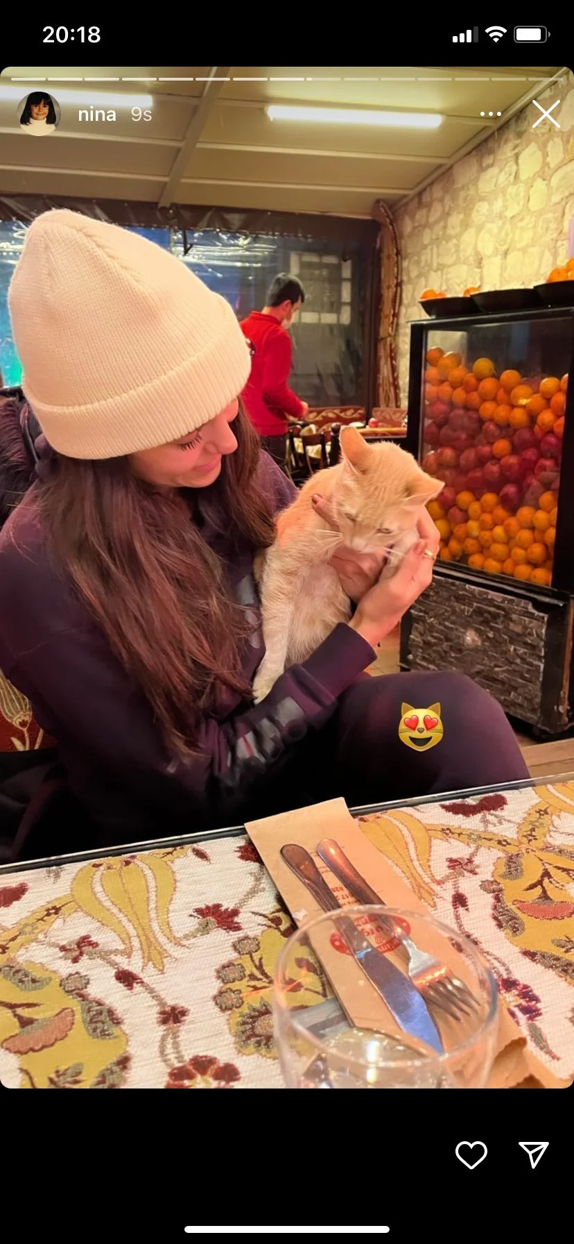 Nina Dobrev Istanbul Cat