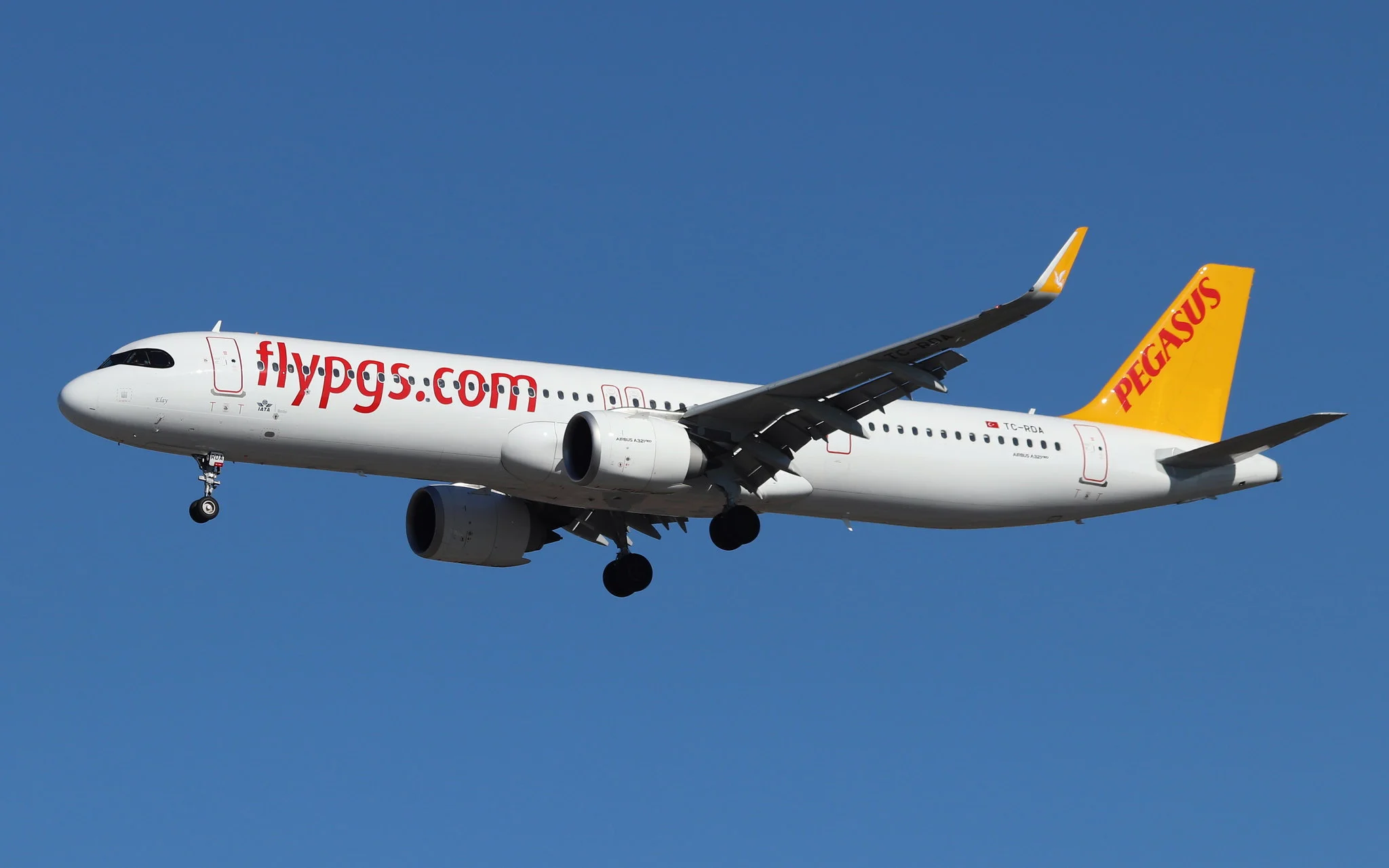 pegasus turkey One of the airlines offering cheap flights in Türkiye.